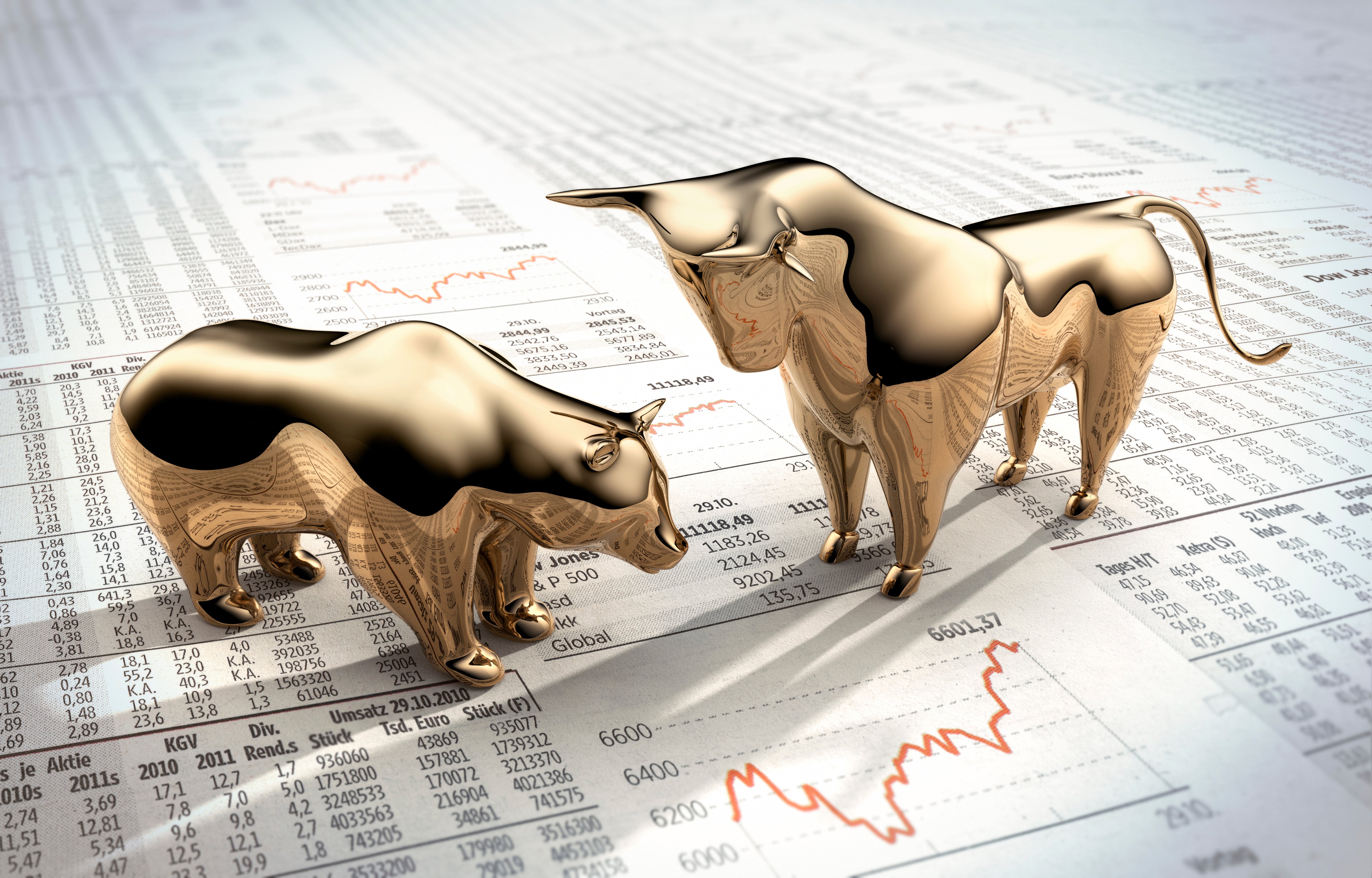 2025 Market Commentary – Bull vs. Bear and Beyond